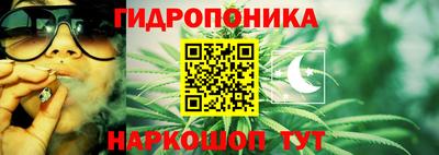 альфа пвп Новокубанск