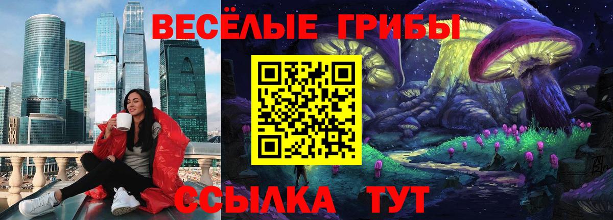 Чистополь  Галлюциногенные грибы мухоморы  Вход с VPN  Псилоцибиновые грибы Cubensis 